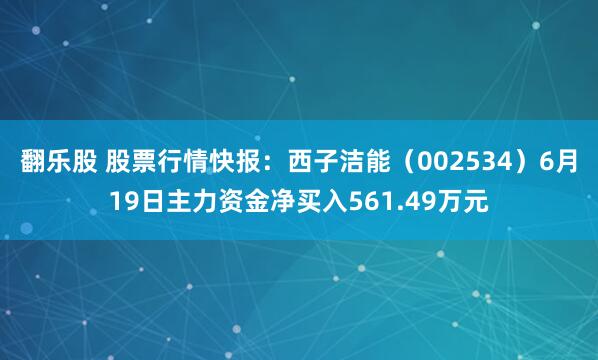 翻乐股 股票行情快报：西子洁能（002534）6月19日主力资金净买入561.49万元