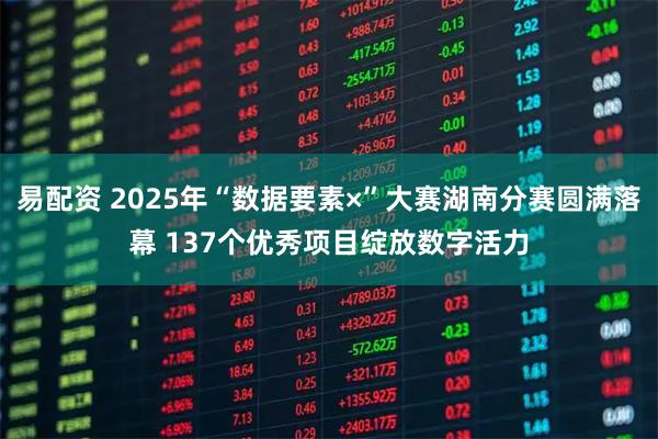 易配资 2025年“数据要素×”大赛湖南分赛圆满落幕 137个优秀项目绽放数字活力