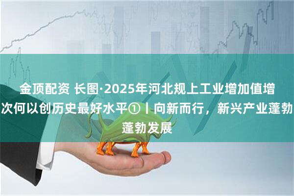 金顶配资 长图·2025年河北规上工业增加值增速位次何以创历史最好水平①丨向新而行，新兴产业蓬勃发展
