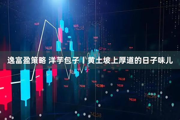 逸富盈策略 洋芋包子丨黄土坡上厚道的日子味儿